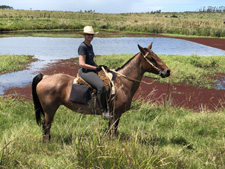 Uruguay-Uruguay-Laguna Negra Estancias Ride